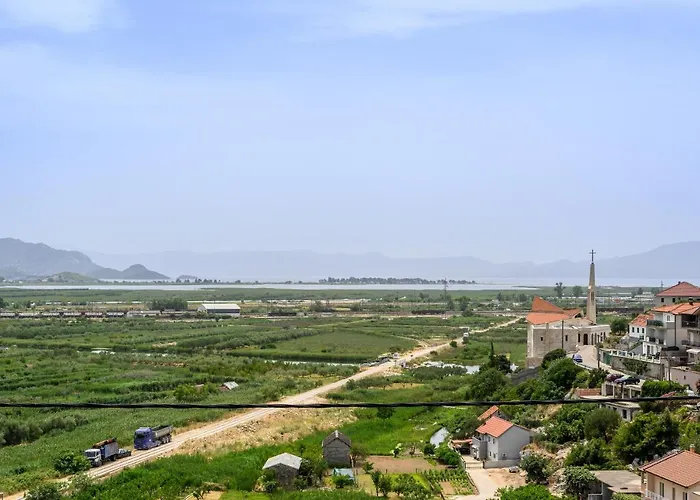 Sea Bass Neretva *