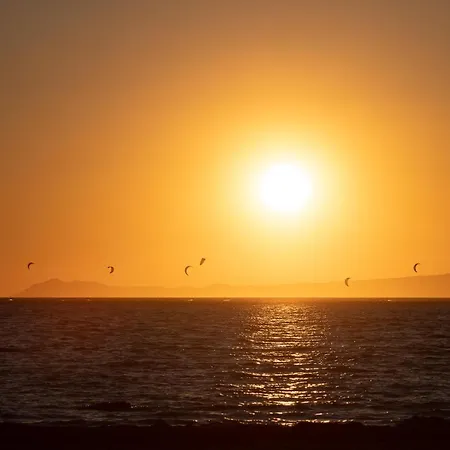Sea Bass Neretva * Ploce (Dubrovnik-Neretva)