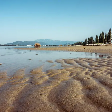 Sea Bass Neretva Ploce (Dubrovnik-Neretva)